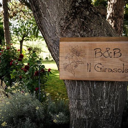 Bed and Breakfast Il Girasole Basciano Екстер'єр фото
