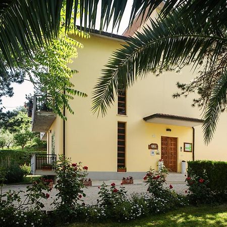 Bed and Breakfast Il Girasole Basciano Екстер'єр фото