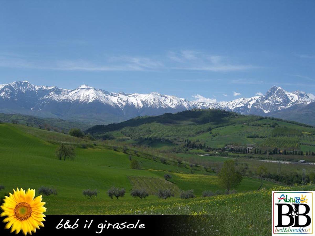 Bed and Breakfast Il Girasole Basciano Екстер'єр фото