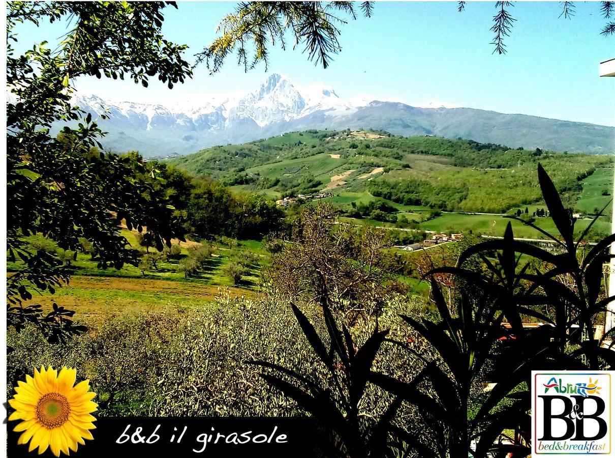 Bed and Breakfast Il Girasole Basciano Екстер'єр фото